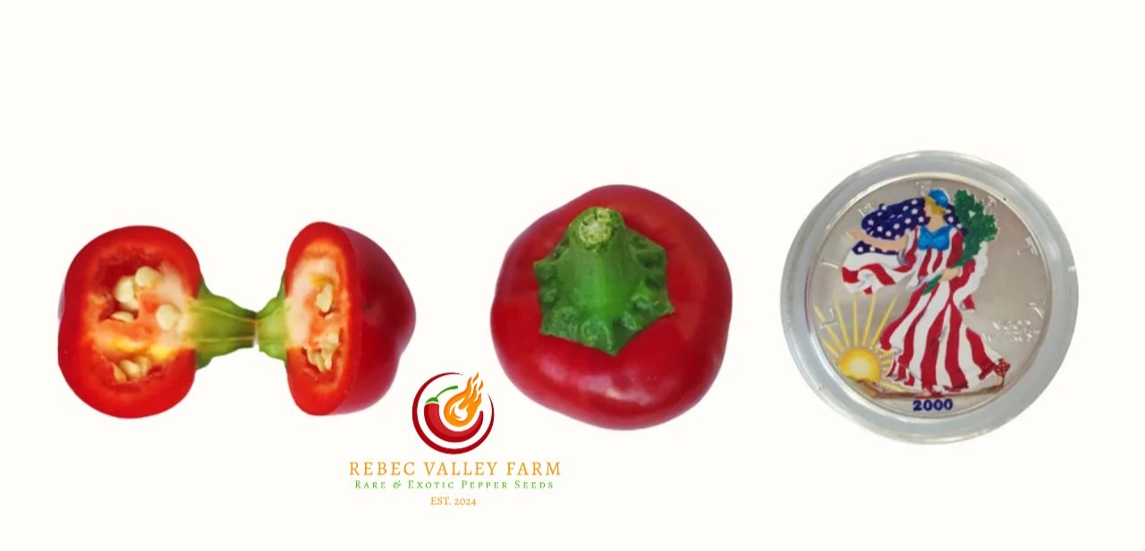 Large Hot Cherry Pepper - Image 2