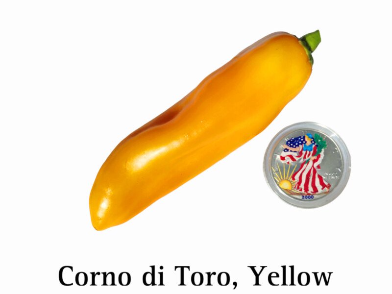 Corno di Toro Pepper, Yellow