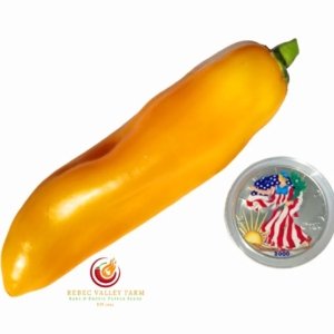 Corno di Toro Pepper, Yellow