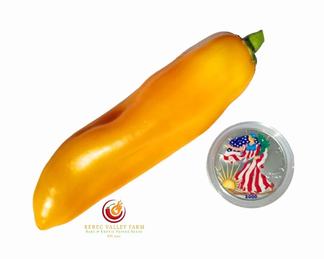Corno di Toro Pepper, Yellow