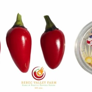 Count Dracula Pepper