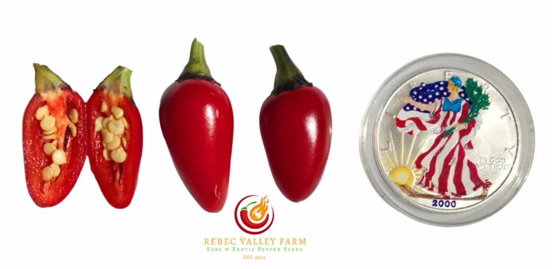 Count Dracula Pepper