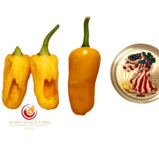 Datil Pepper