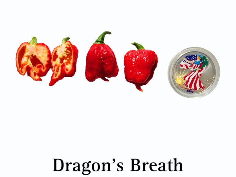 Dragon's Breath Pepper