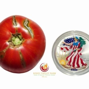 Dwarf Firebird Sweet Tomato