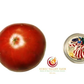 Faelan's First Snow Tomato