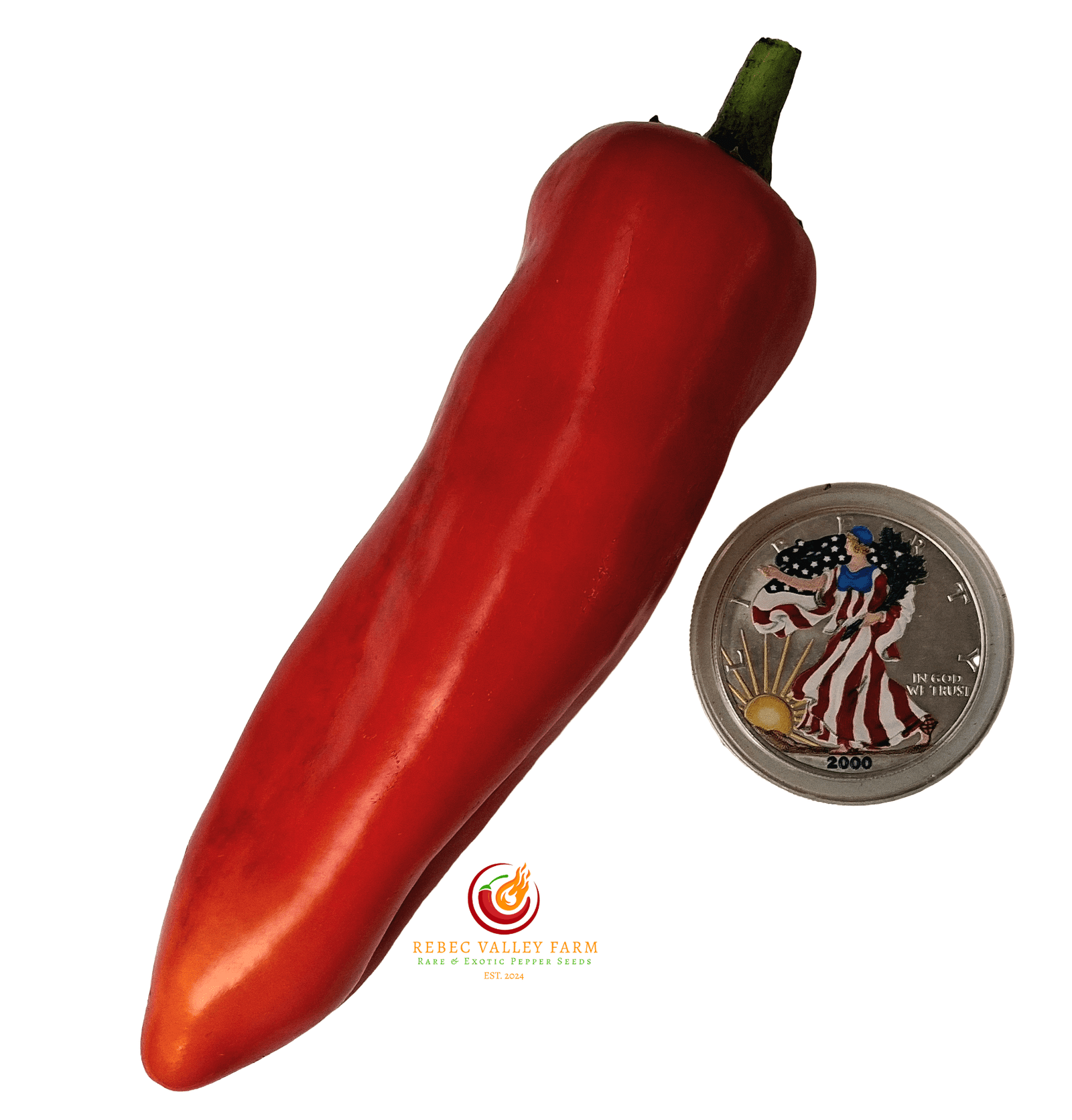 Giant Aconcagua Pepper