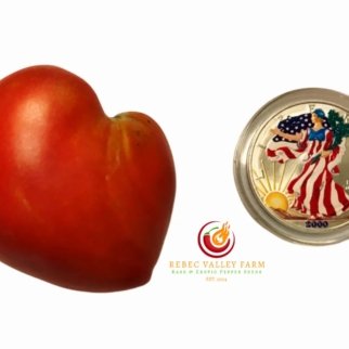 Giant Heart Climber Tomato