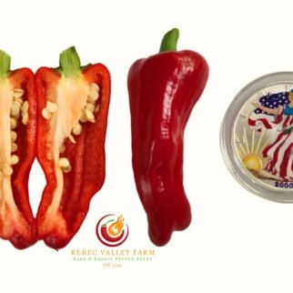 Greek Pepperoncini Pepper