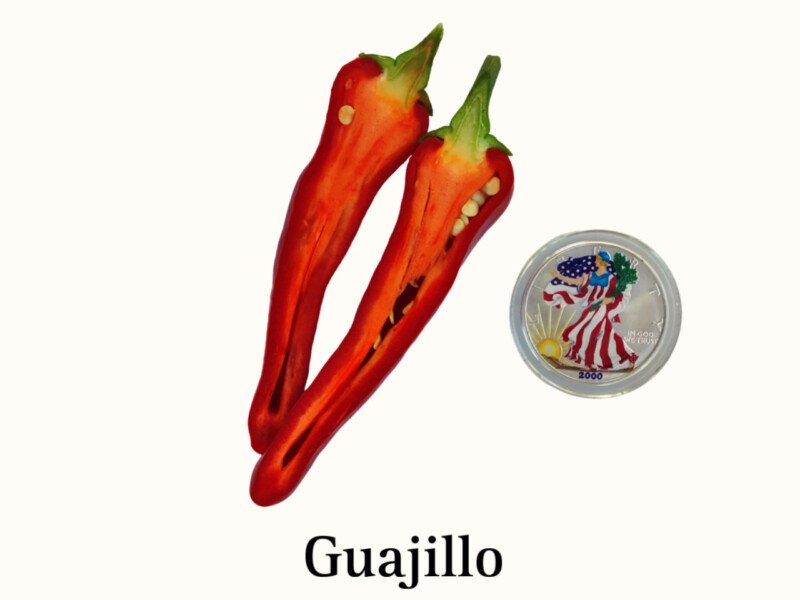 Guajillo Pepper - Image 2