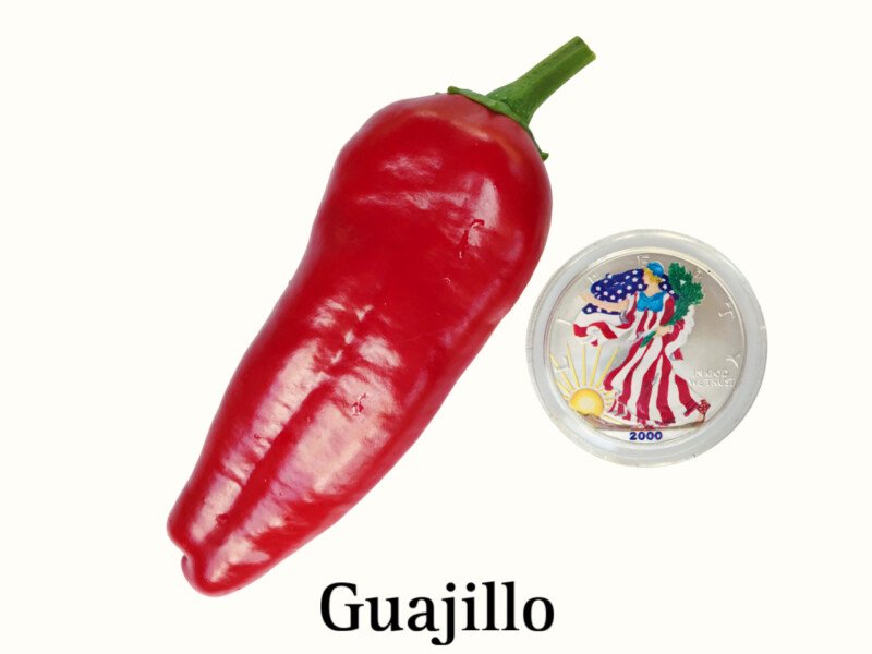 Guajillo Pepper