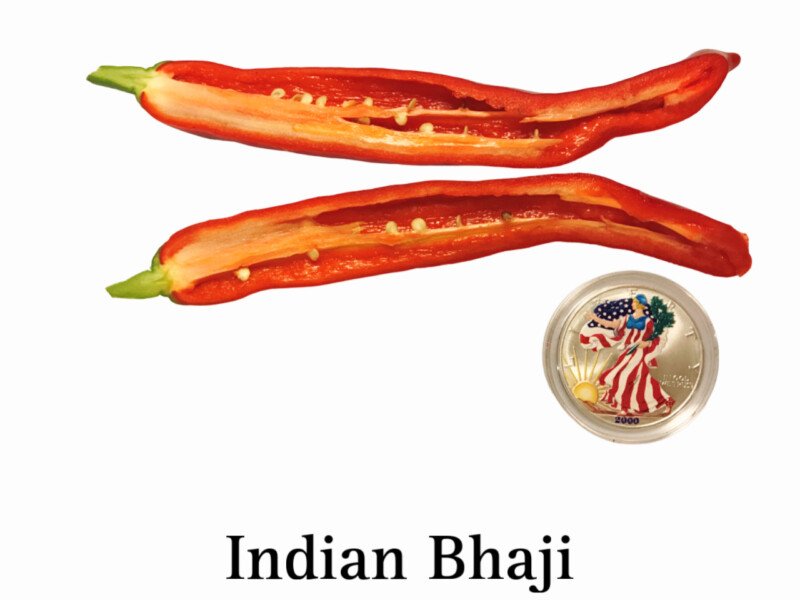 Indian Bhaji Pepper - Image 2