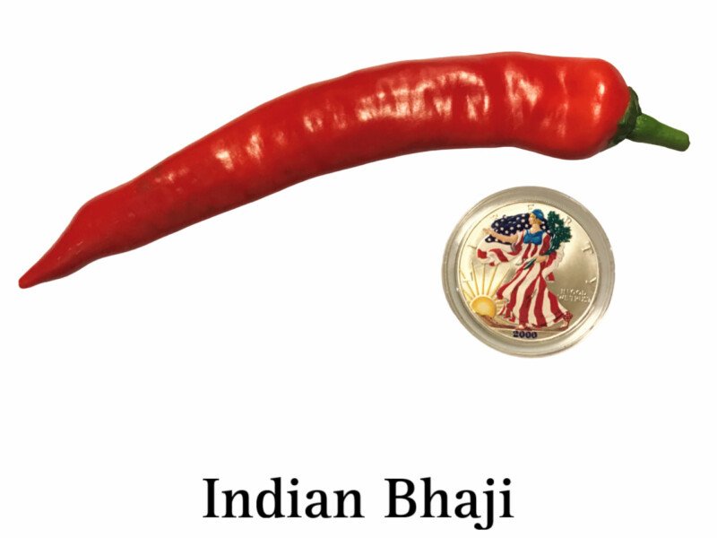 Indian Bhaji Pepper