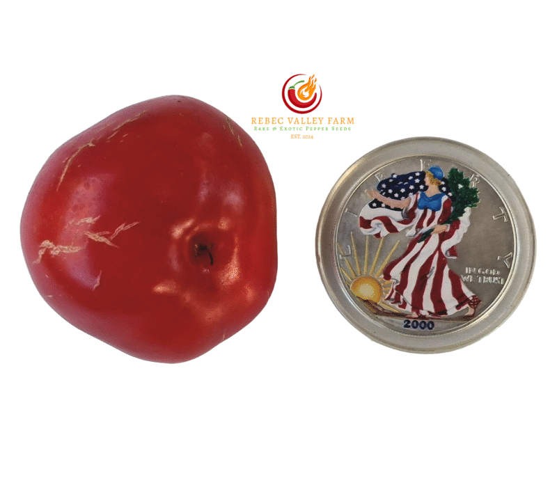 Klari Baby Cheese Pepper - Image 3
