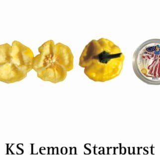 KS Lemon Starrburst Pepper