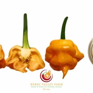 KS Peach Starrkist Pepper