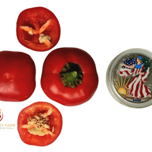 Large Hot Cherry Pepper