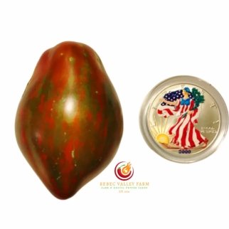 Marsha's Starfighter Heart Tomato