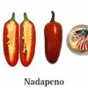 Nadapeno Heatless Jalapeno Seeds