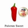 Poivron Sweet Pepper
