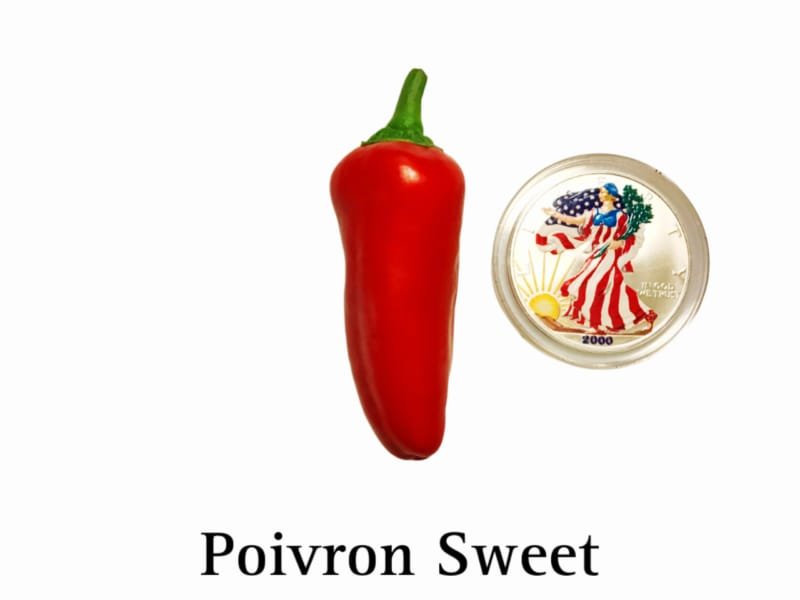 Poivron Sweet Pepper
