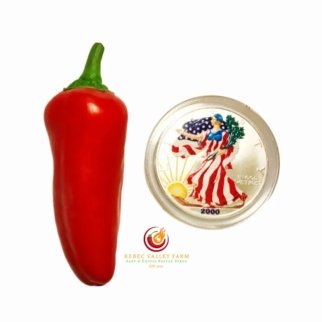 Poivron Sweet Pepper