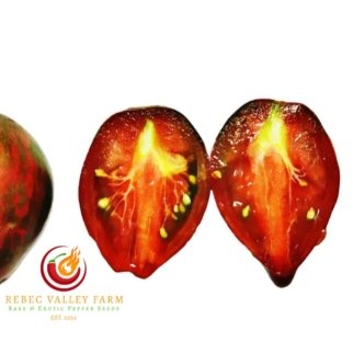 Rebel Starfighter Prime Tomato