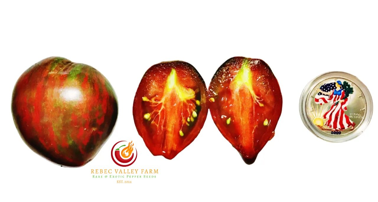 Rebel Starfighter Prime Tomato