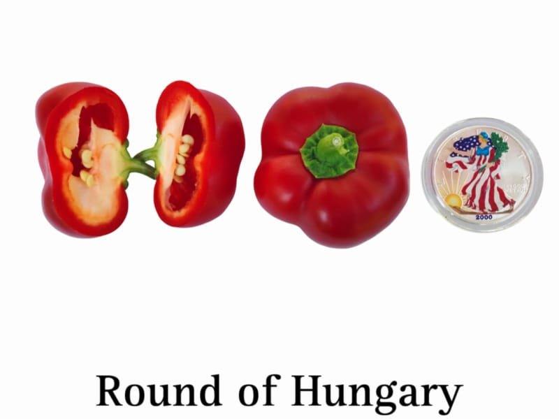 Round of Hungary Pepper