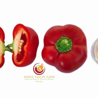 Round of Hungary Pepper