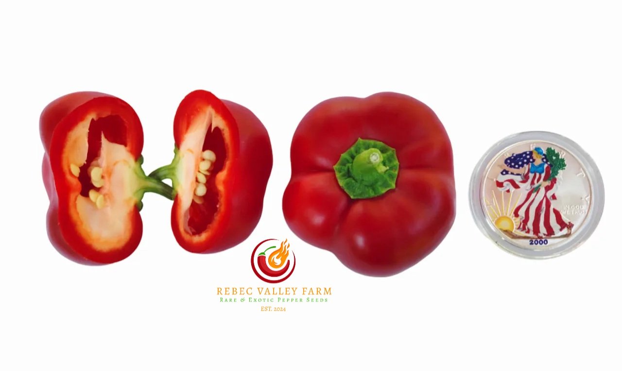 Round of Hungary Pepper