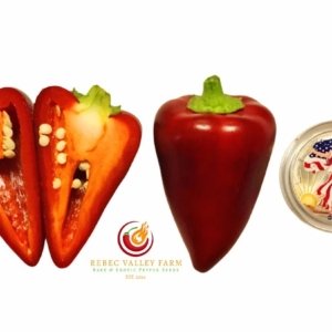 Violet Sparkle Pepper