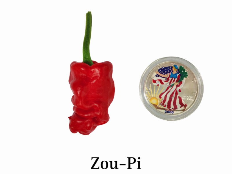 Zou-Pi Pepper