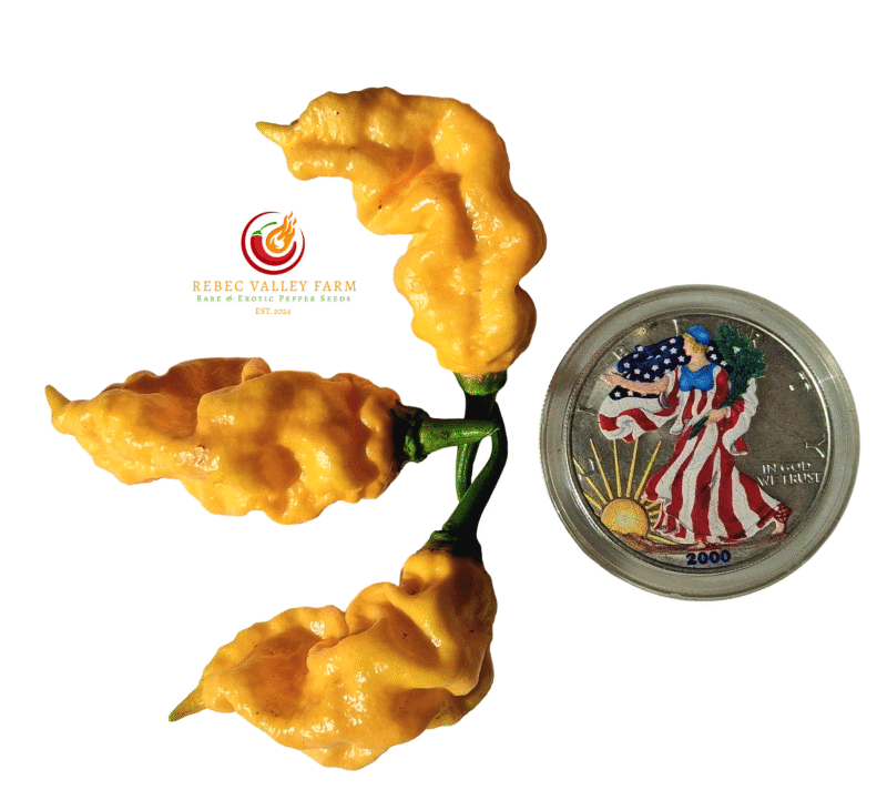 T-Rex Yellow Pepper