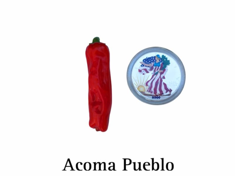 Acoma Pueblo Pepper Seeds