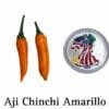 Aji Chinchi Amarillo Pepper