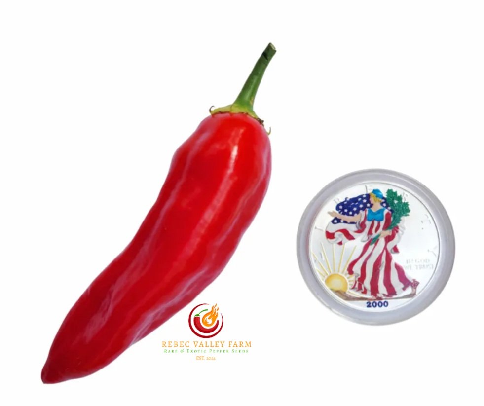 Aji Cristal Pepper