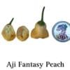 Aji Fantasy Peach Hot Pepper
