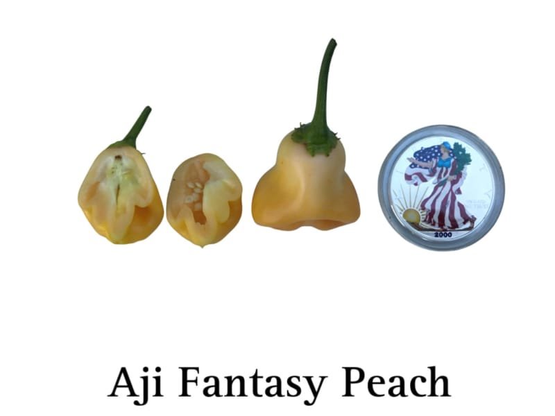 Aji Fantasy Peach Hot Pepper