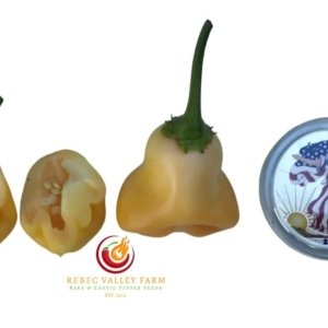 Aji Fantasy Peach Pepper