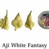Aji White Fantasy Pepper