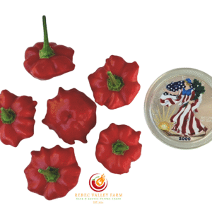 Brazilian Starfish Pepper