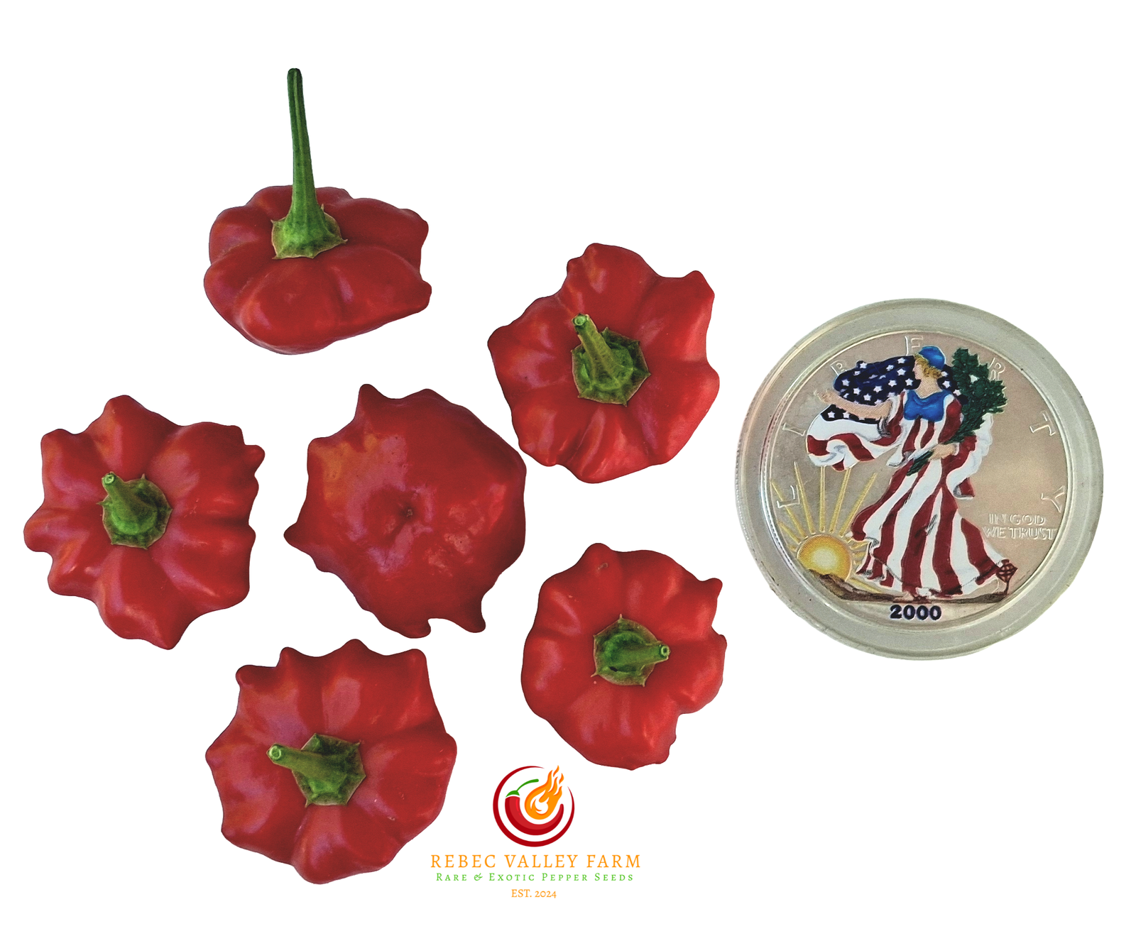 Brazilian Starfish Pepper