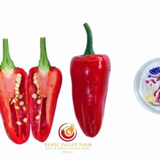 Bryan's Blood Pepper