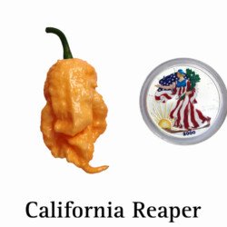 California Reaper Pepper