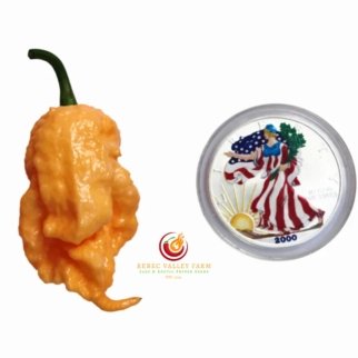 California Reaper Pepper