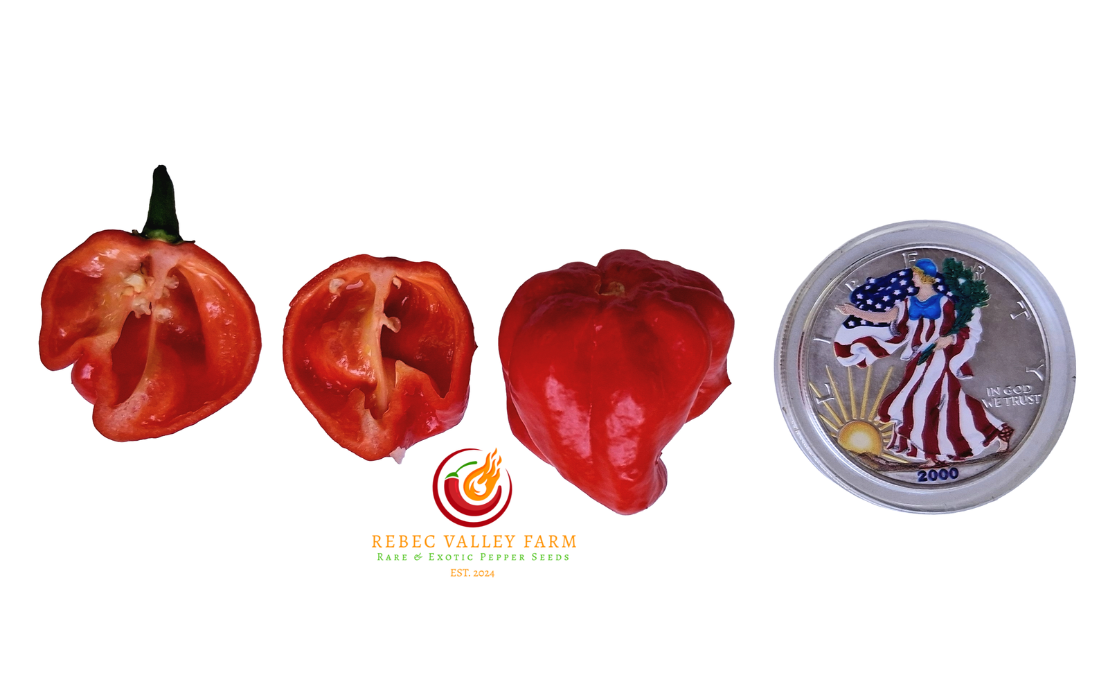 Red Caribbean Habanero Pepper - Image 2