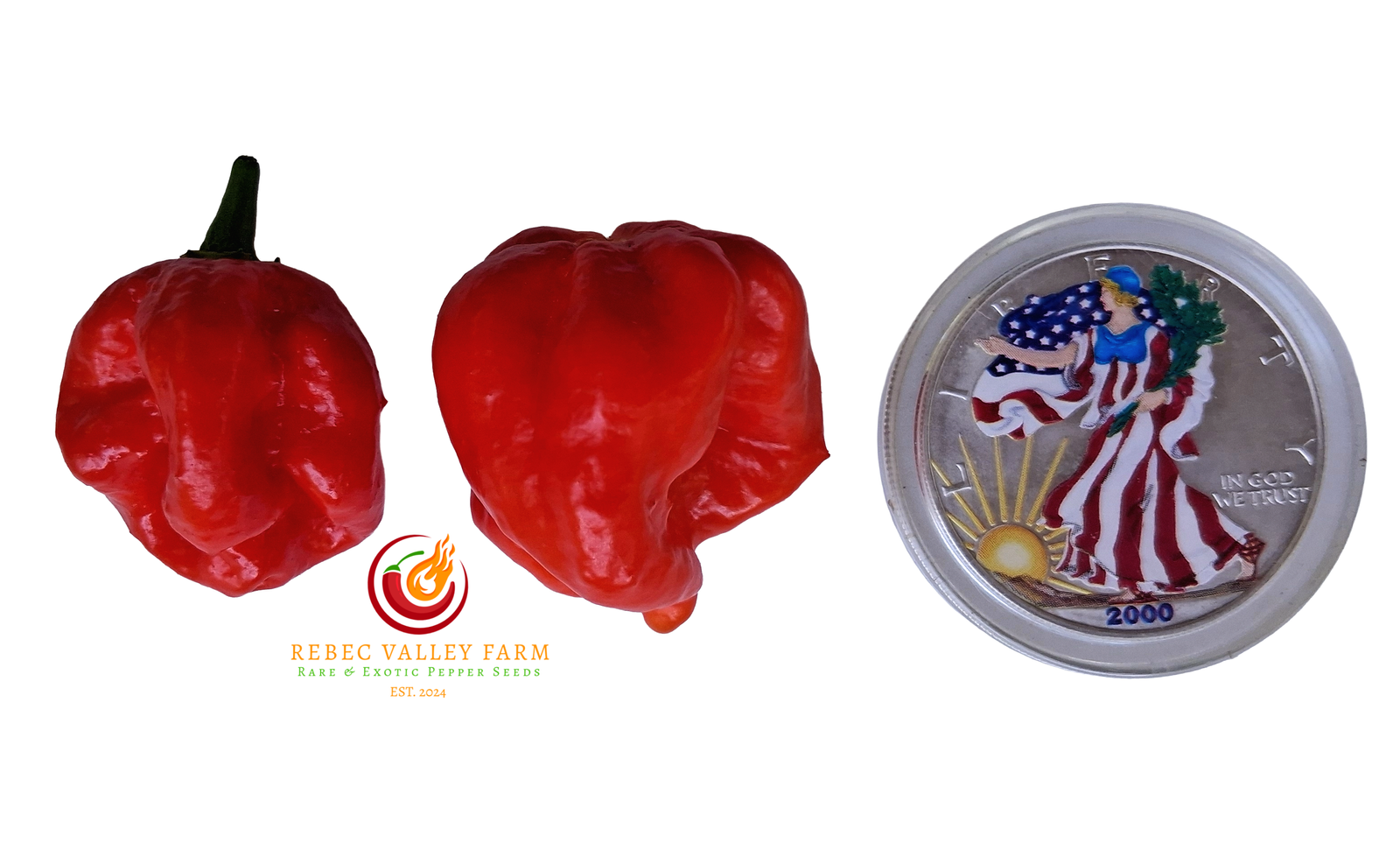 Red Caribbean Habanero Pepper