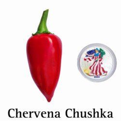 Chervena Chushka Pepper