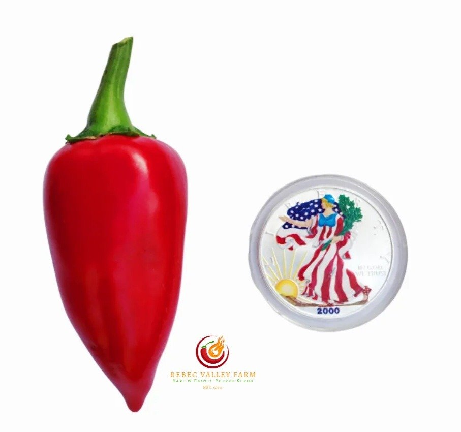 Chervena Chushka Pepper